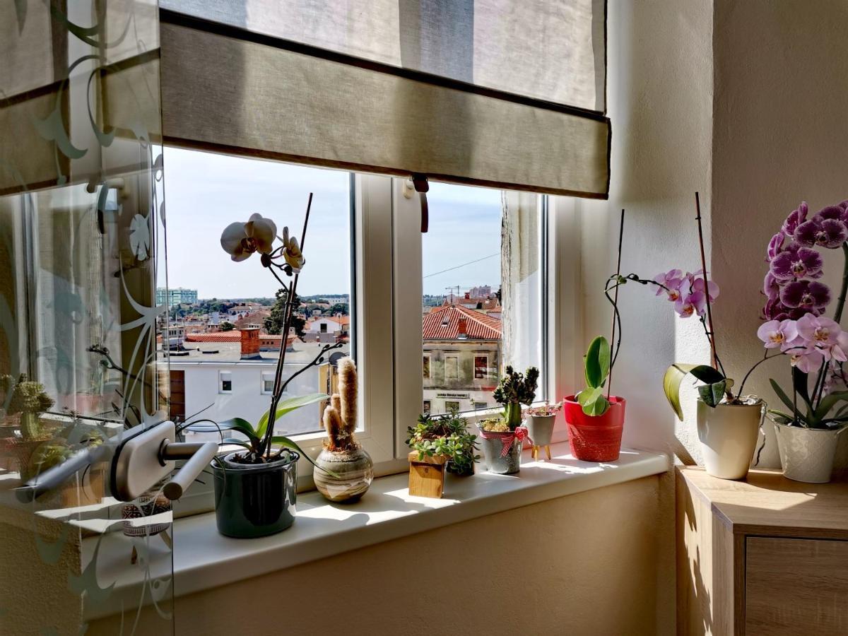Apartment Andreas - Amphitheater - プーラ エクステリア 写真